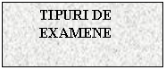 Text Box: TIPURI DE EXAMENE