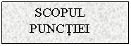 Text Box: SCOPUL PUNCTIEI