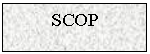 Text Box: SCOP